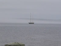Tor Bay fog