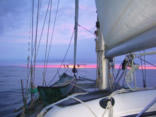 N Sea Dawn